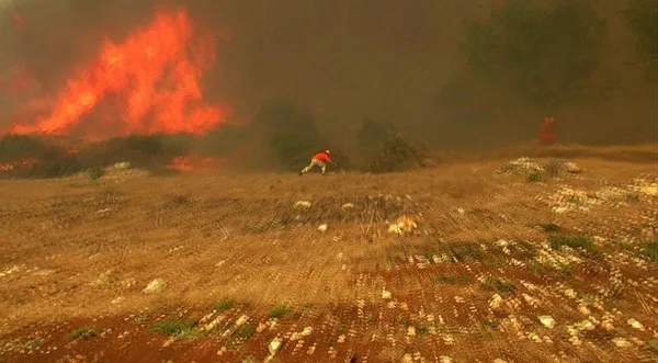 Antalya'daki yangında hortum paniği! Canlarını zor kurtardılar-1
