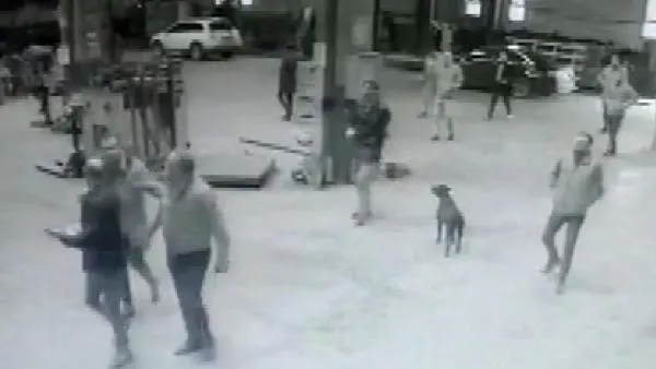 İstanbul Arnavutköy'de filmleri aratmayan baskın!-3