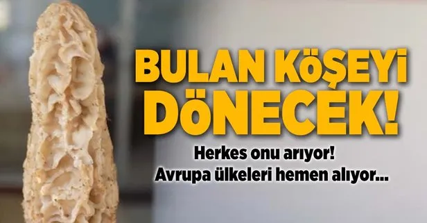 kuzu et fiyatları