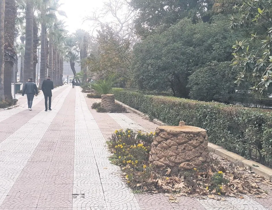 Göz göre göre kuruttular