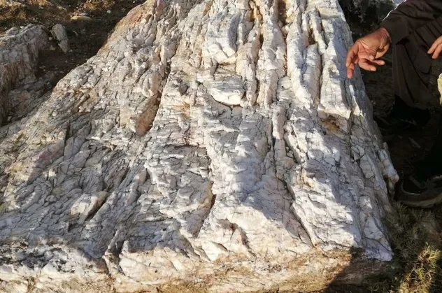 Son dakika: Erzurum’da yine altın madeni bulundu!