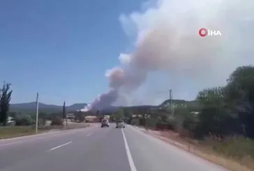 Bolu Mudurnu’da orman yangını başladı