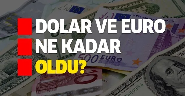 Dolar ve euro ne kadar oldu?