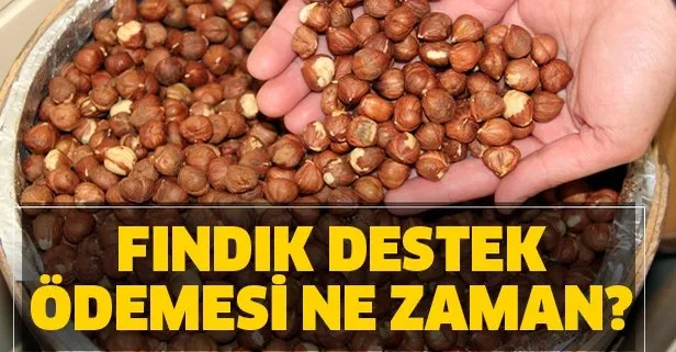 Findik Destek Parasi Yatti Mi Findik Destek Odemeleri Ne Zaman Yatacak Iste 2020 Findik Fiyatlari Takvim
