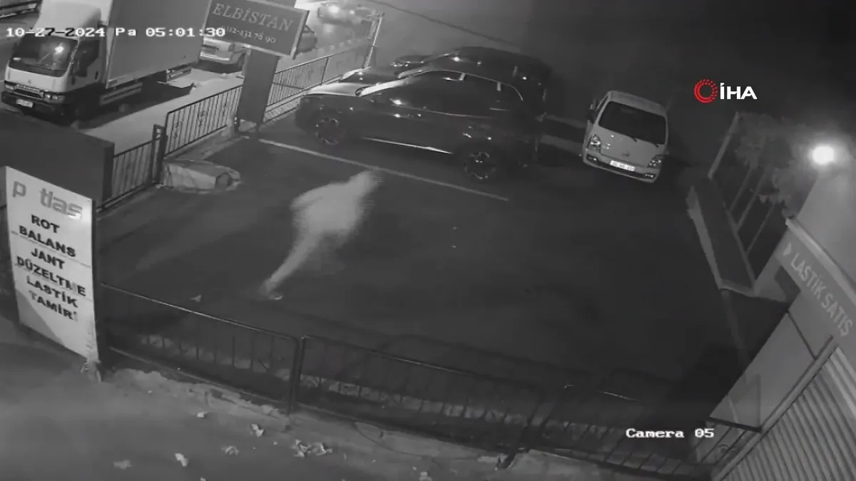 İstanbul'da "hayalet ekran" hırsızları kamerada