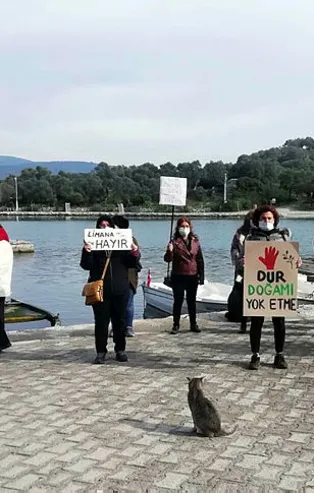 Antik kente liman yapılması planına karşı çıkan Kıyıkışlacık halkı, Başkan Erdoğan'dan yardım istedi
