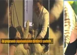 Sumru Yavrucuk'u gözyaşlarına boğan kayıp köpeği Tomi bulundu! Müge Anlı'nın yayınından 4 saat sonra...