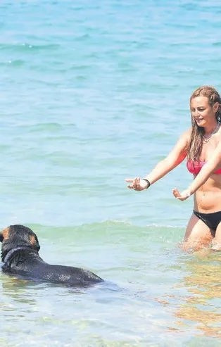 Açelya Elmas sevimli köpeğiyle denizde eğlendi
