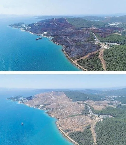 cumhuriyet-tarihinin-rekoru-kirildi-19-yilda-65-milyar-fidan-toprakla-bulustu-1691209845727.jpeg Cumhuriyet tarihinin rekoru kırıldı: 19 yılda 6.5 milyar fidan toprakla buluştu-6