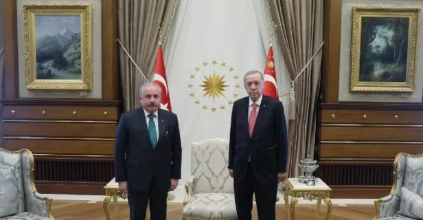 Başkan Erdoğan, TBMM Başkanı Mustafa Şentop ile görüştü