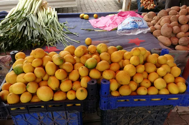 Artık izinsiz ihraç edilemeyecek! Resmi Gazete'de yayımlandı