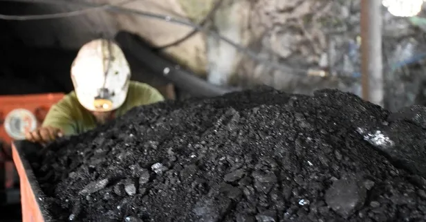 Türkiye Taşkömürü Kurumu 263 işçi alacak