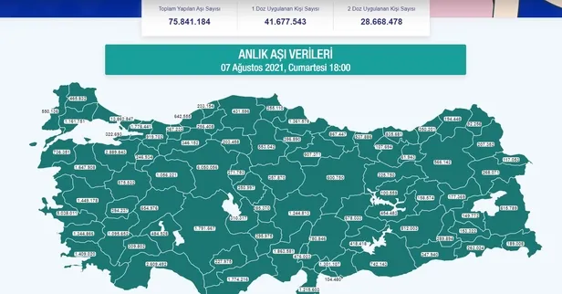 istanbulda-13-milyon-751-bin-745-doz-koronavirus-asisi-yapildi-1628348669971.jpg İstanbul'da 13 milyon 751 bin 745 doz koronavirüs aşısı yapıldı!-3
