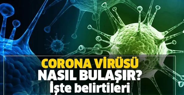 Corona virüsü nedir, belirtileri nelerdir? Korona virüsü nasıl bulaşır, öldürücü mü? Hangi ülkelerde var?