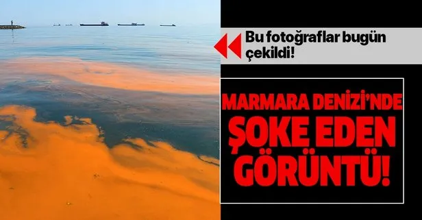 Marmara Denizi’nde şoke eden görüntü! Deniz turuncuya boyandı!