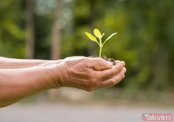 2025'in en şanslı tarihleri: Evlilik, iş başvurusu ve taşınma için uğurlu günler - 5