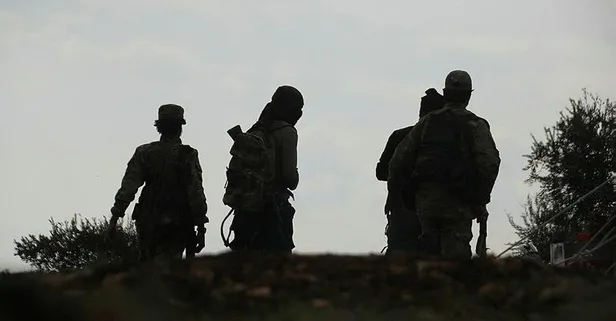 Afrin'de 2 köy daha terörden arındırıldı