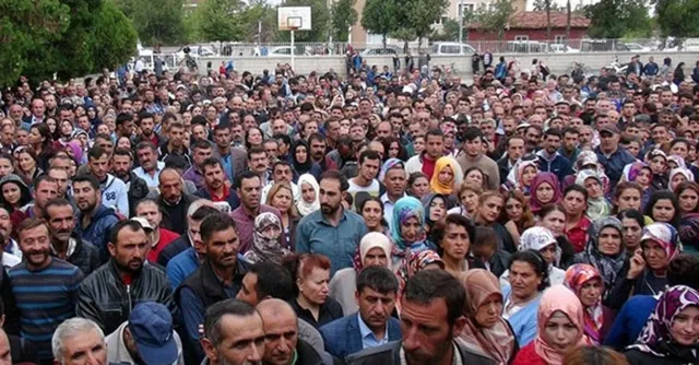 İŞKUR 903 personel alımı ve başvuru şartları! İŞKUR 25 Şubat kamu ilanları açıklandı! İşte kurumlar-2