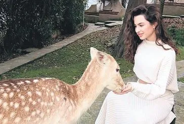 Doğal güzel