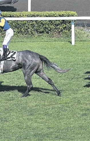 Türkiye, 96. Gazi Koşusu’na kilitlendi! Pazar günü düzenlenen etkinlik nefes kesti...