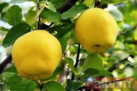 Hızlı kilo vermek isteyenler dikkat! Bu yöntemi mutlaka deneyin! Yemeklerden önce 1 kase tüketince bakın neler oluyor - 13