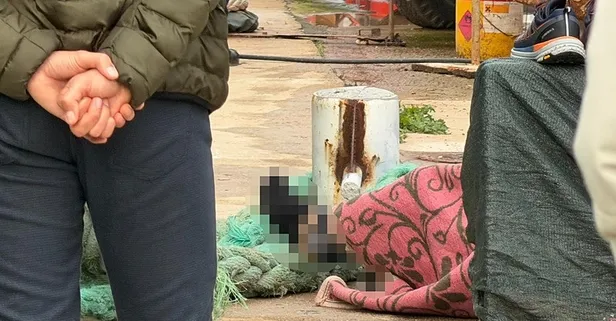 Alanya'da balıkçı barınağında korkunç görüntü! Denizde erkek cesedi bulundu