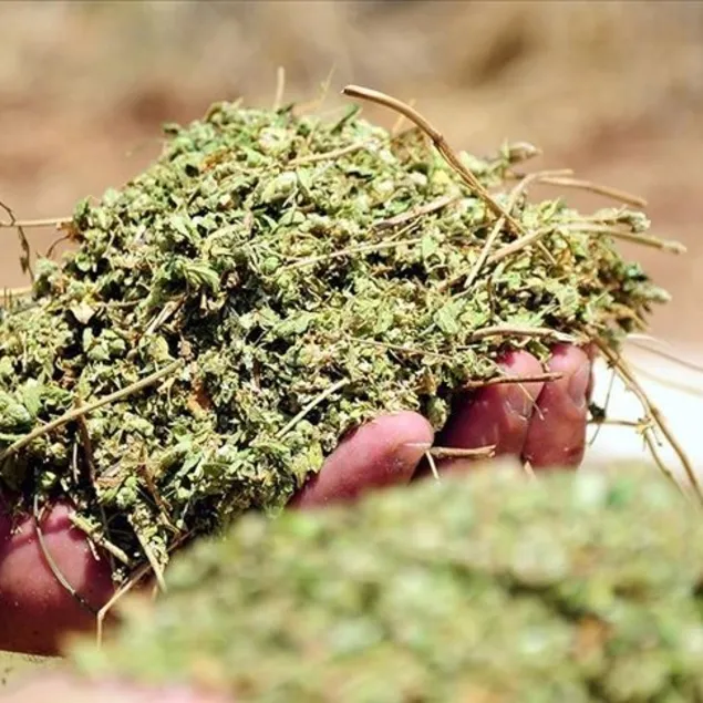 Kekik tarçın hastalıkları azaltın