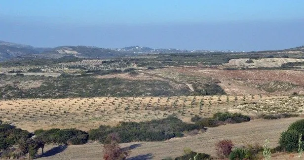 Son dakika: Aydın'da hazine arazilerine el koyan muhtarlar tutuklandı-1