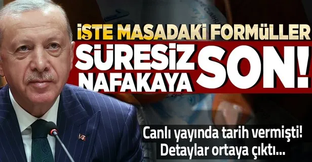 Başkan Erdoğan tarih verdi detaylar ortaya çıktı: Süresiz nafaka için devlet güvencesi formülü!