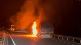 Erzincan’ın Üzümlü ilçesinde seyir halindeki TIR’da çıkan yangın paniğe neden oldu.