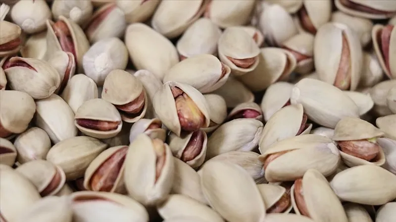 siirtte-devlet-destekli-fistik-uretimi-artti-yok-yilina-ragmen-uretici-umutlu-1776424644209.jpg Siirt’te devlet destekli fıstık üretimi arttı: “Yok yılı”na rağmen üretici umutlu-5