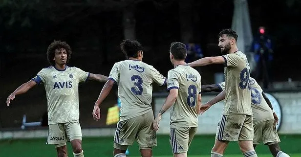 Gaziantep Fk 0 2 Fenerbahce Mac Sonucu Ntvspor Net