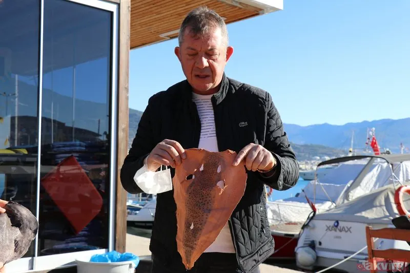 Balıkçıların kabusu oldu! Balon balığının derisiyle ayakkabı cüzdan çanta üretilecek