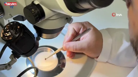 Kayseri'de kene can aldı!