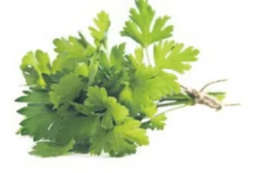 Maydanozla gelen sağlık