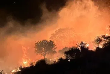 Marmara Adası’nda yangın