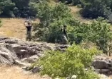 Son dakika: MSB: 5 PKK'lı terörist teslim oldu