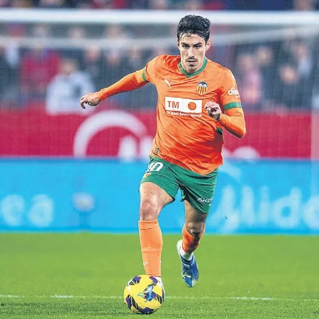 Almeida için kıran kırana