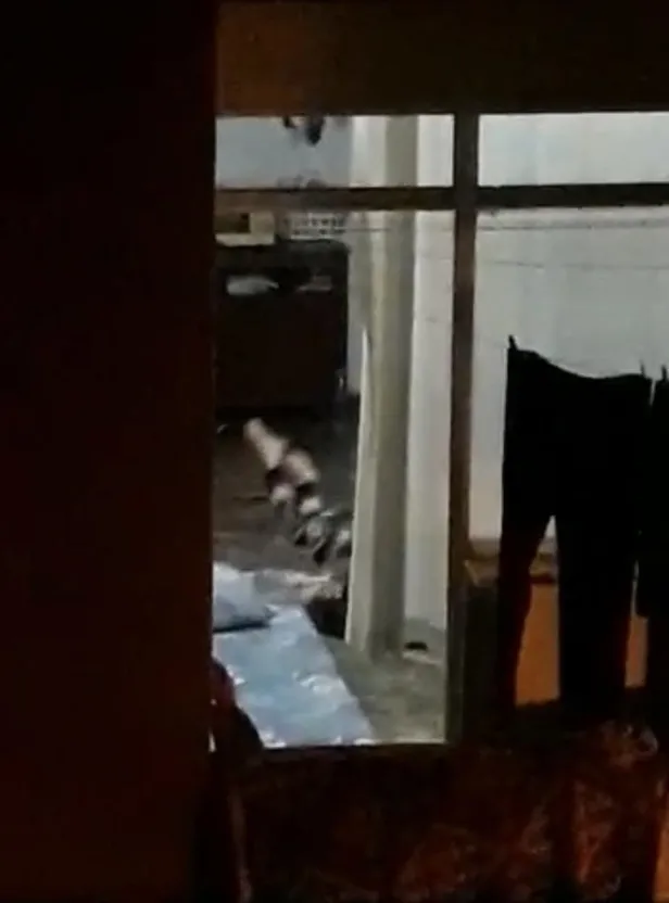 Kağıthane'de dehşete düşüren görüntüler! Engelli torununu döven 75 yaşındaki kadın tutuklandı-2