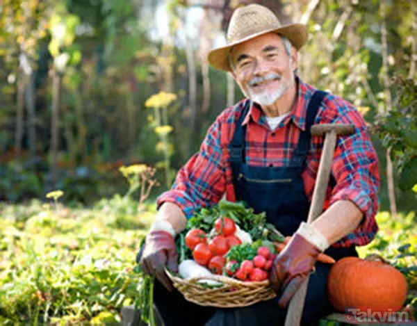 "Tarım öldü" diyenleri ters köşe yapacak rakamlar! Bakanlık sağladığı desteklerle organik üretim ve tüketimi artırıyor - 1