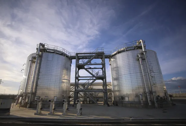 baskan-recep-tayyip-erdogan-mujdesi-nedir-baskan-erdogan-mujde-aciklamasi-ne-zaman-1622785880691.jpg Başkan Recep Tayyip Erdoğan müjdesi nedir? Başkan Erdoğan müjde açıklaması ne zaman?-4