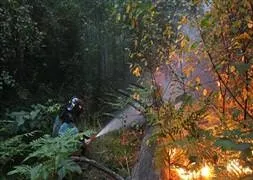 Tarlasını temizlerken orman yangınına sebep oldu