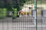 Başakşehir’de okul müdürünün beslediği köpekler öğrenciye saldırdı!