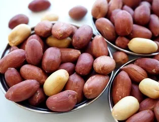 Rüyada fıstık görmek ne anlama gelir?