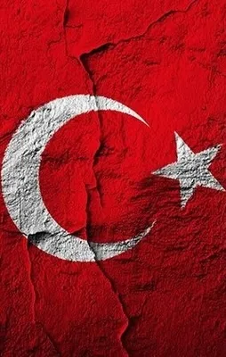 Hollanda'dan bir skandal karar daha