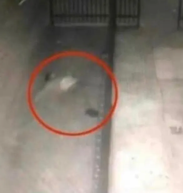 Türkiye bunu konuşuyor! Mehmet Aydın öldü mü?-2