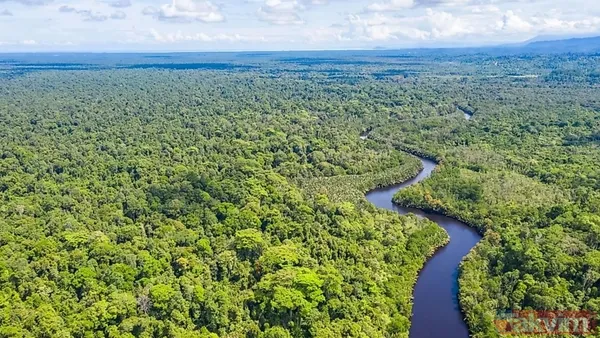 Yağmur rekoru kırıldı! Dünyanın en yağışlı 10 ülkesi açıklandı - 3