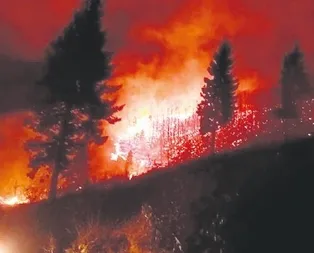 Karadenizde 76 ayrı noktada yangın çıktı