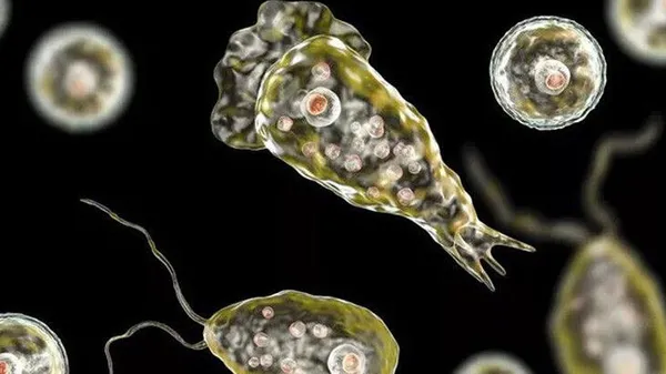 Koronavirüsten sonra yeni tehlike! Kaplıcalarda beyin yiyen amip! Beyin yiyen amip nedir, belirtileri nelerdir?-2