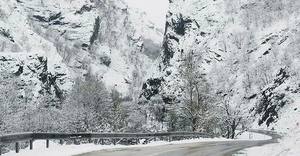 Tunceli’de 120 köy yolu kardan kapandı